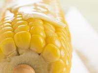 corn dog food science diet harmful bad